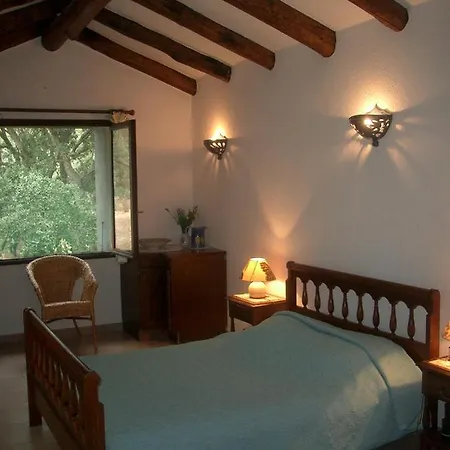Villa Fiumicello Oletta